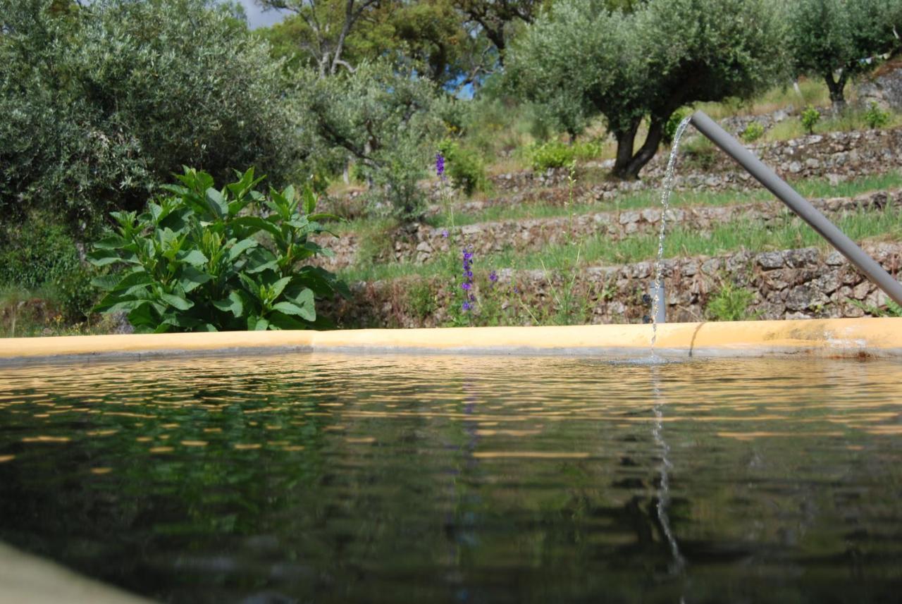 Terrafazbem Βίλα Marvão Εξωτερικό φωτογραφία