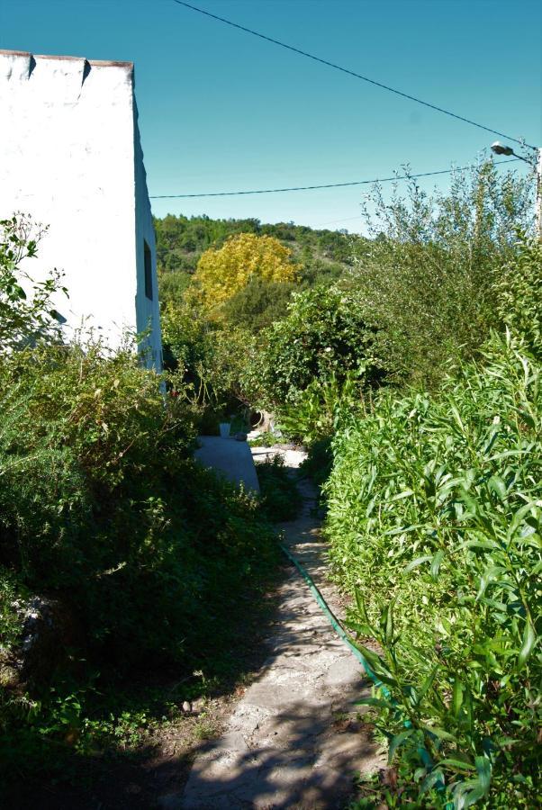 Terrafazbem Βίλα Marvão Εξωτερικό φωτογραφία