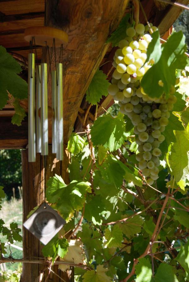 Terrafazbem Βίλα Marvão Εξωτερικό φωτογραφία