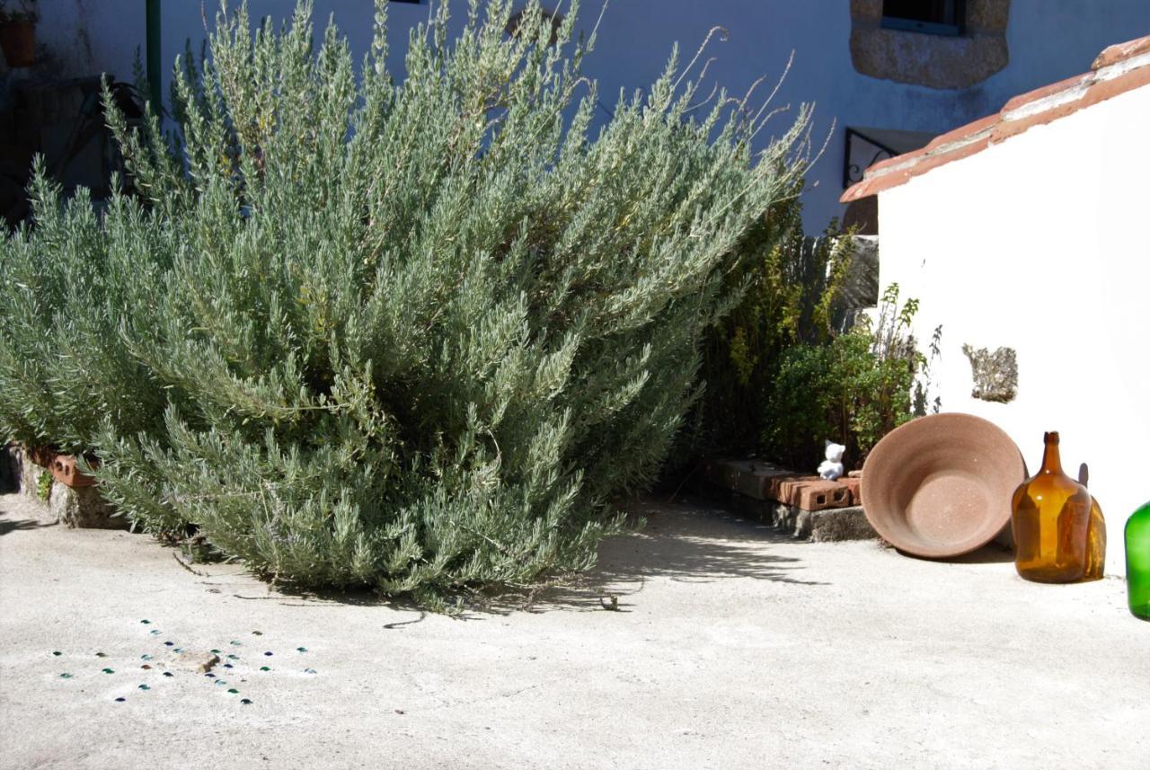 Terrafazbem Βίλα Marvão Εξωτερικό φωτογραφία