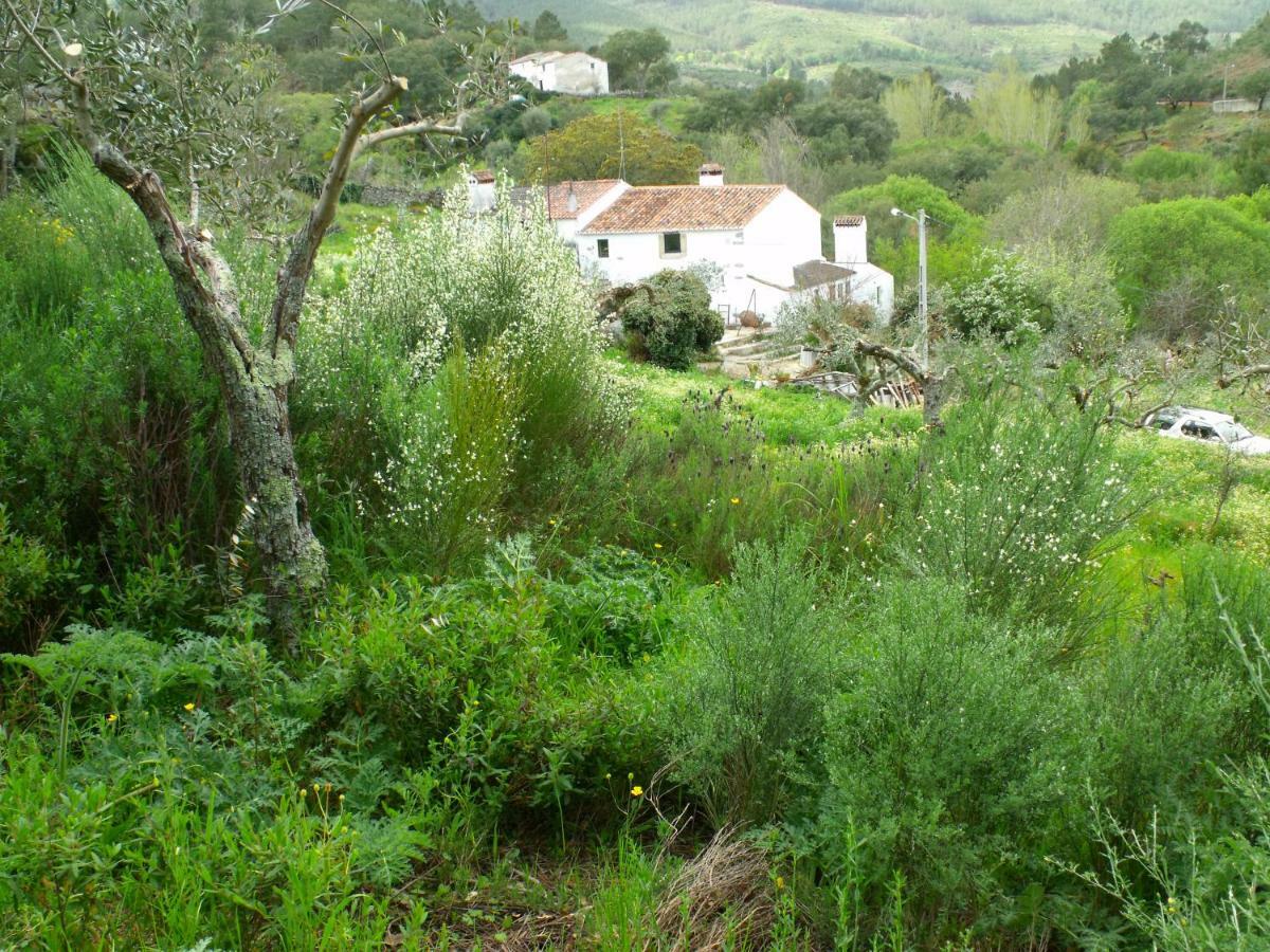 Terrafazbem Βίλα Marvão Εξωτερικό φωτογραφία